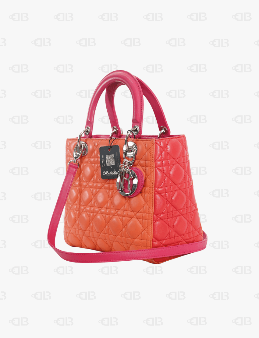 Lady Dior MultiColor Medium Tote (Tri Colors)