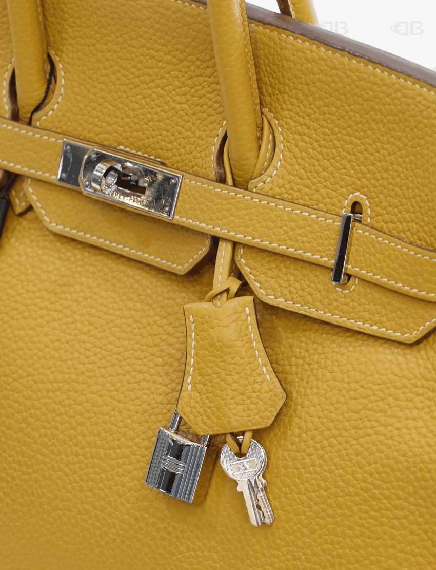 Hermes Birkin 35 Hand Tote Bag