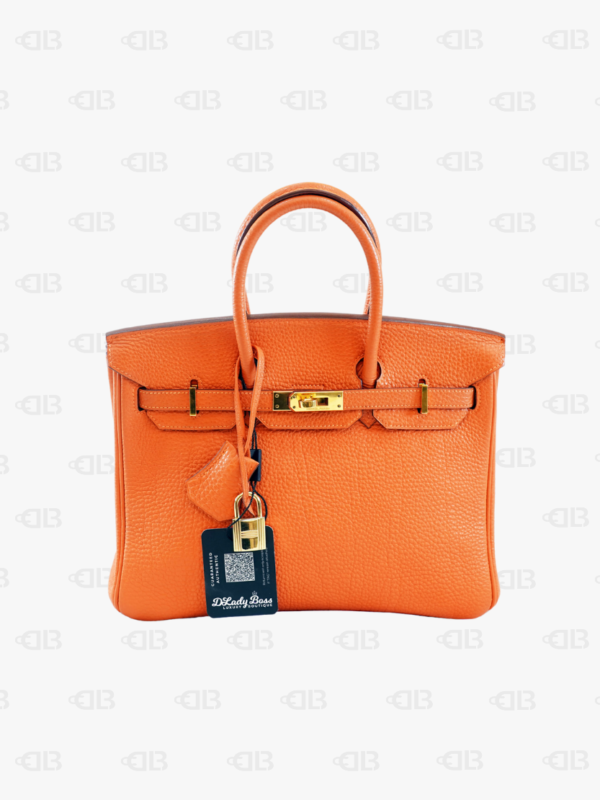 Hermès Birkin 25 Togo Leather Gold Hardware