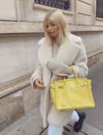 Hermes Birkin 35 Hand Tote Bag