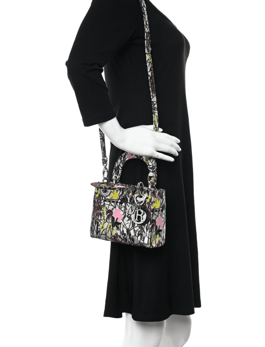 Metallic Canvas Embroidered Mini Lady Dior Argent Multicolor