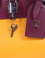 Louis Vuitton Mini City Steamer Bag