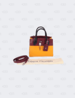 Louis Vuitton Mini City Steamer Bag