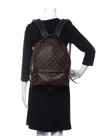 Louis Vuitton Monogram Palm Springs Backpack MM