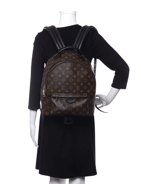 Louis Vuitton Monogram Palm Springs Backpack MM
