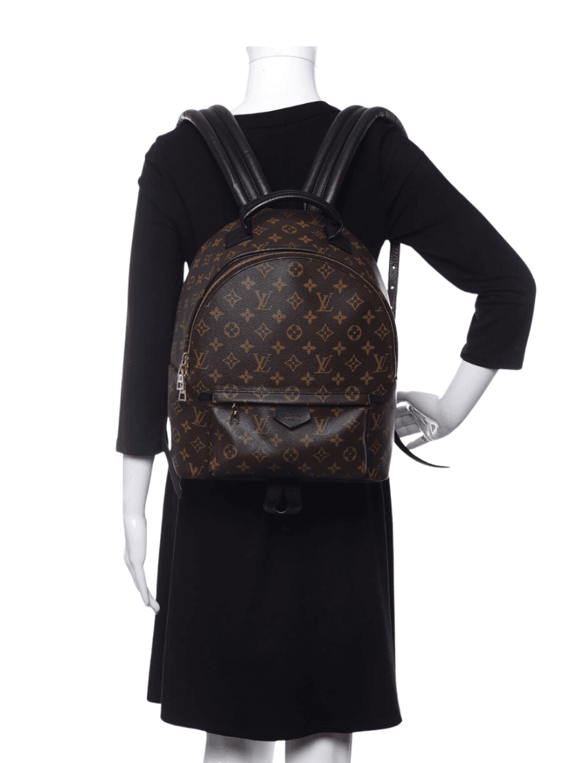 Louis Vuitton Monogram Palm Springs Backpack MM