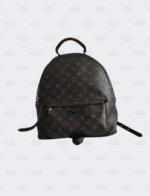 Louis Vuitton Monogram Palm Springs Backpack MM