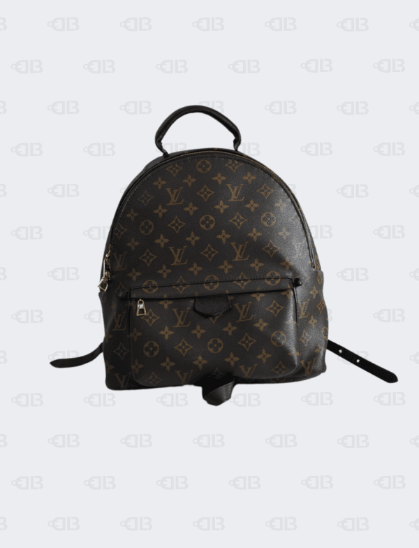 Louis Vuitton Monogram Palm Springs Backpack MM