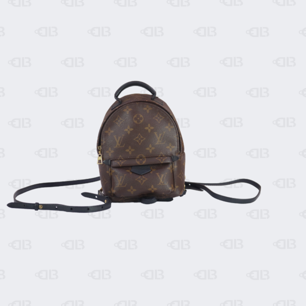 Louis Vuitton Monogram Palm Springs Mini Backpack Bag