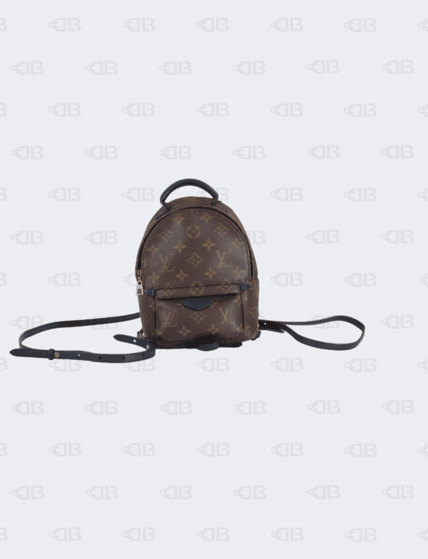 Louis Vuitton Monogram Palm Springs Mini Backpack Bag