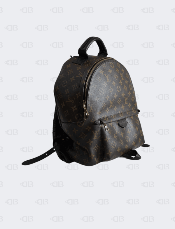 Louis Vuitton Monogram Palm Springs Backpack MM