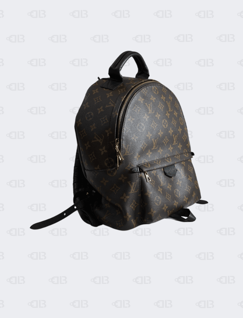 Louis Vuitton Monogram Palm Springs Backpack MM
