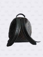 Louis Vuitton Monogram Palm Springs Backpack MM