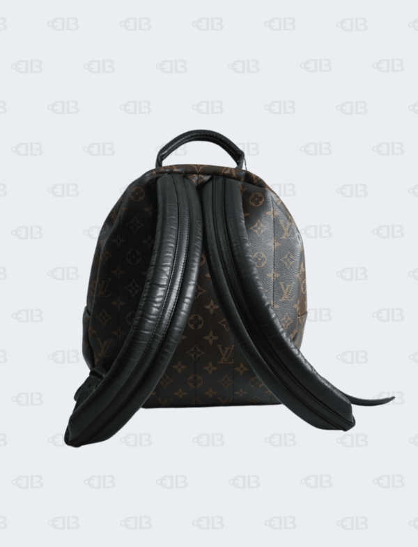 Louis Vuitton Monogram Palm Springs Backpack MM