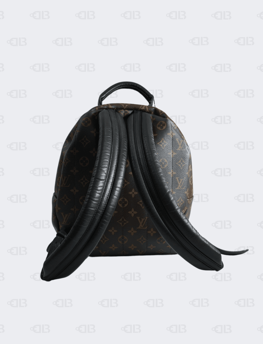 Louis Vuitton Monogram Palm Springs Backpack MM