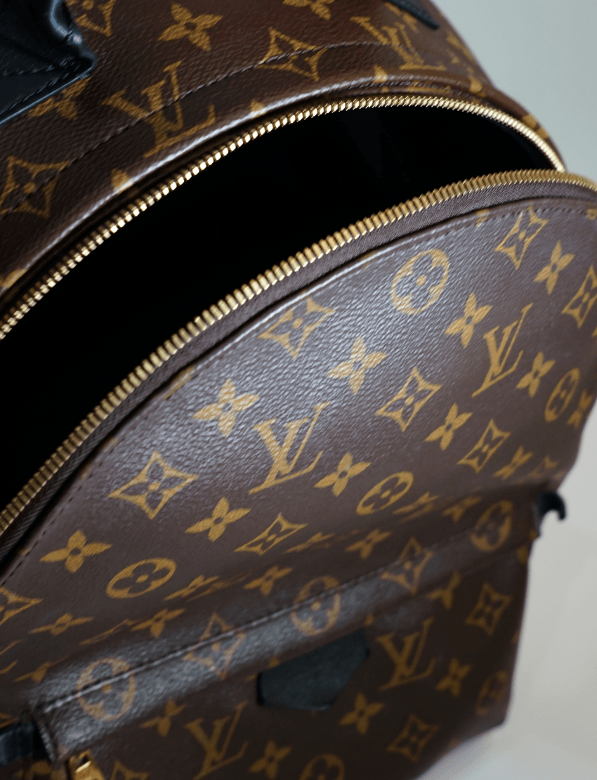 Louis Vuitton Monogram Palm Springs Backpack MM