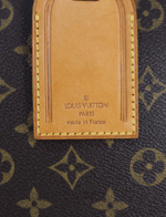 Louis Vuitton Evasion Travel Boston Bag