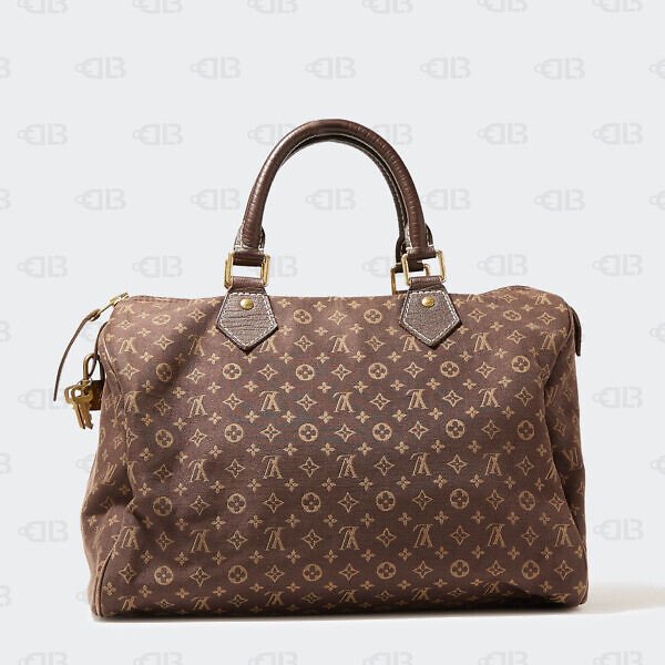 Louis Vuitton Fusain Monogram Mini Lin Canvas Speedy 30 Bag