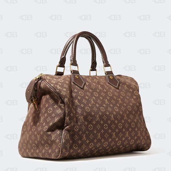 Louis Vuitton Fusain Monogram Mini Lin Canvas Speedy 30 Bag