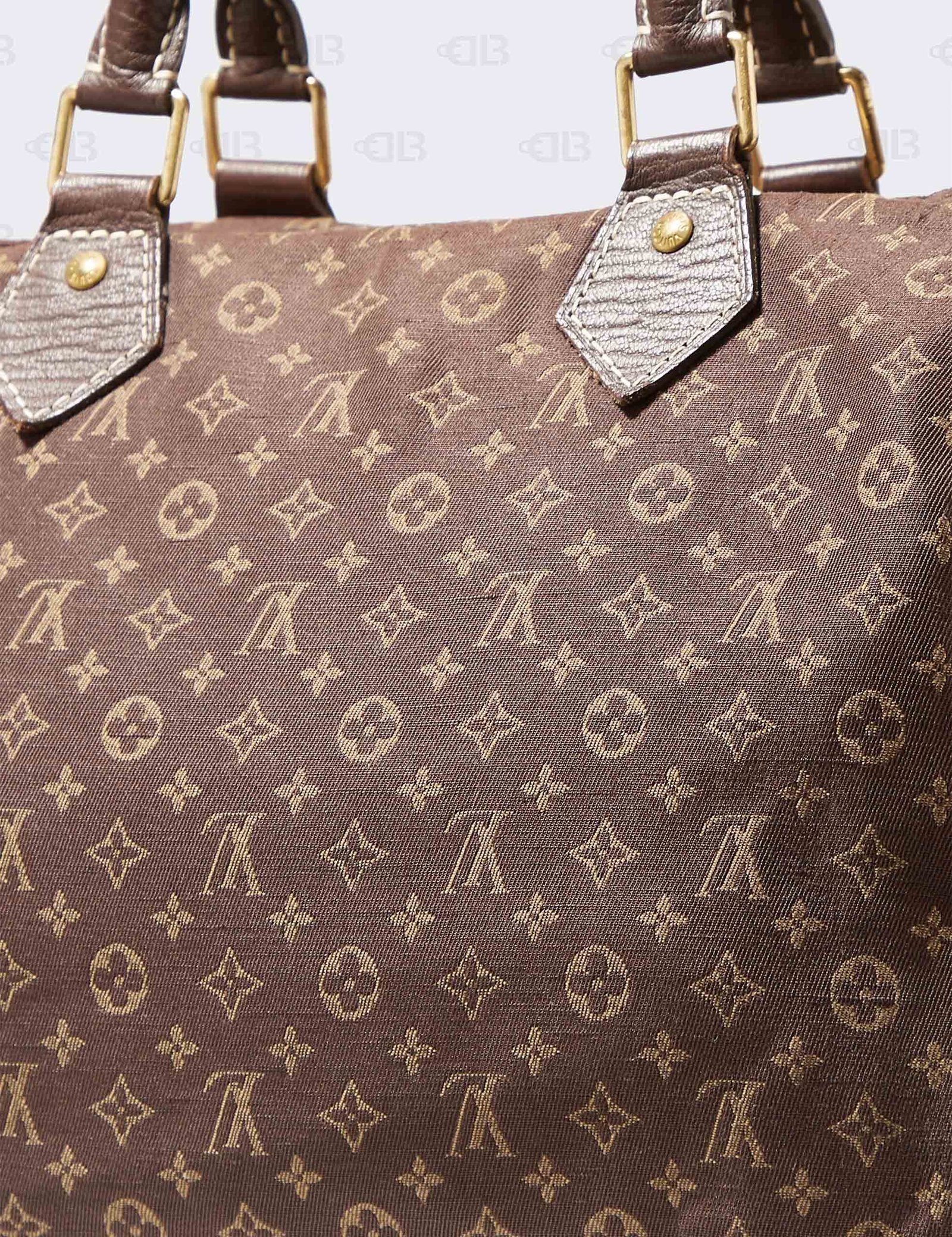 Louis Vuitton Fusain Monogram Mini Lin Canvas Speedy 30 Bag