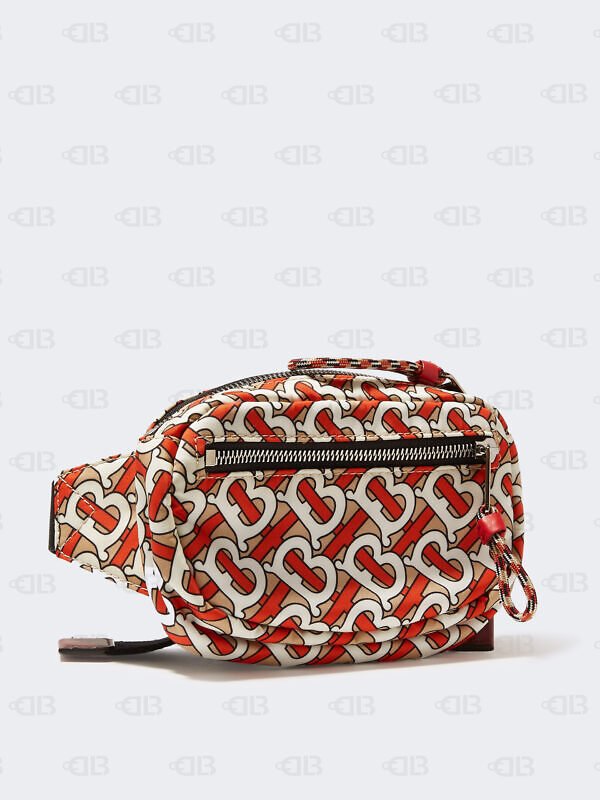 Monogram Technical-canvas Belt Bag In Orange