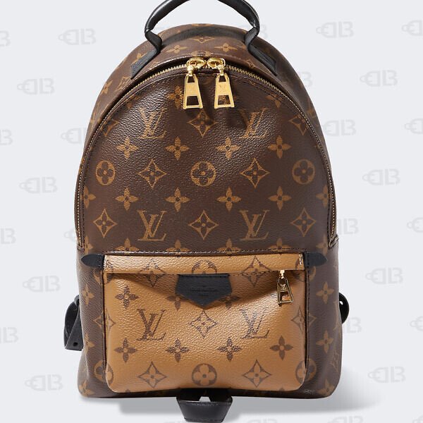 Louis Vuitton Reverse Monogram Palm Springs Backpack