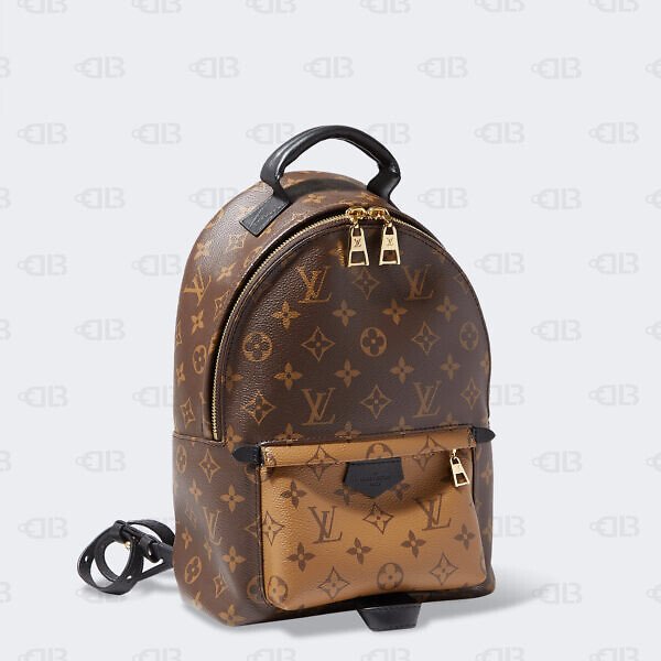 LOUIS VUITTON  Reverse Monogram Palm Springs Backpack