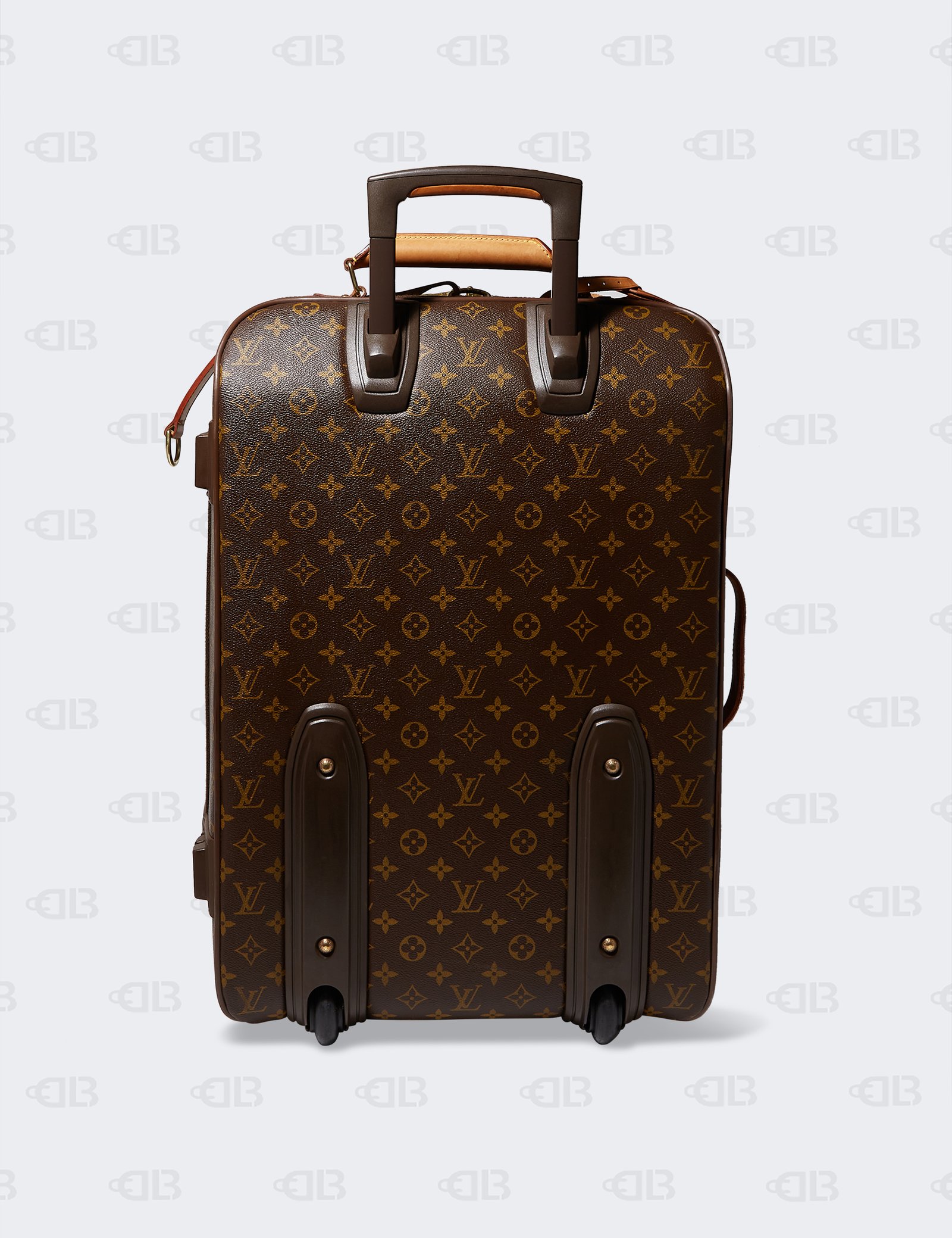 LOUIS VUITTON Monogram Pegase 55