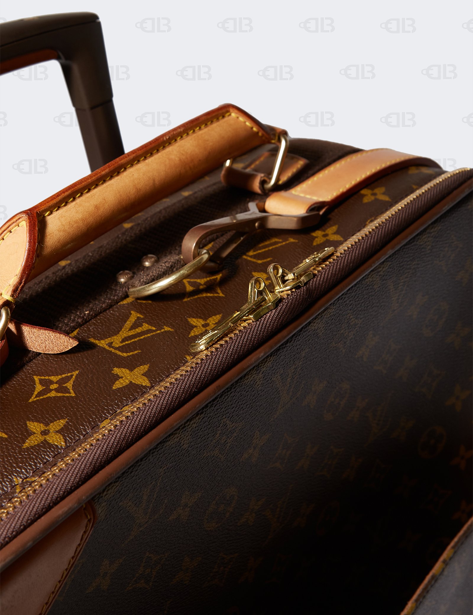 LOUIS VUITTON Monogram Pegase 55