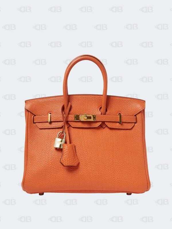 Hermes Birkin 25 Orange Togo Leather Gold Hardware