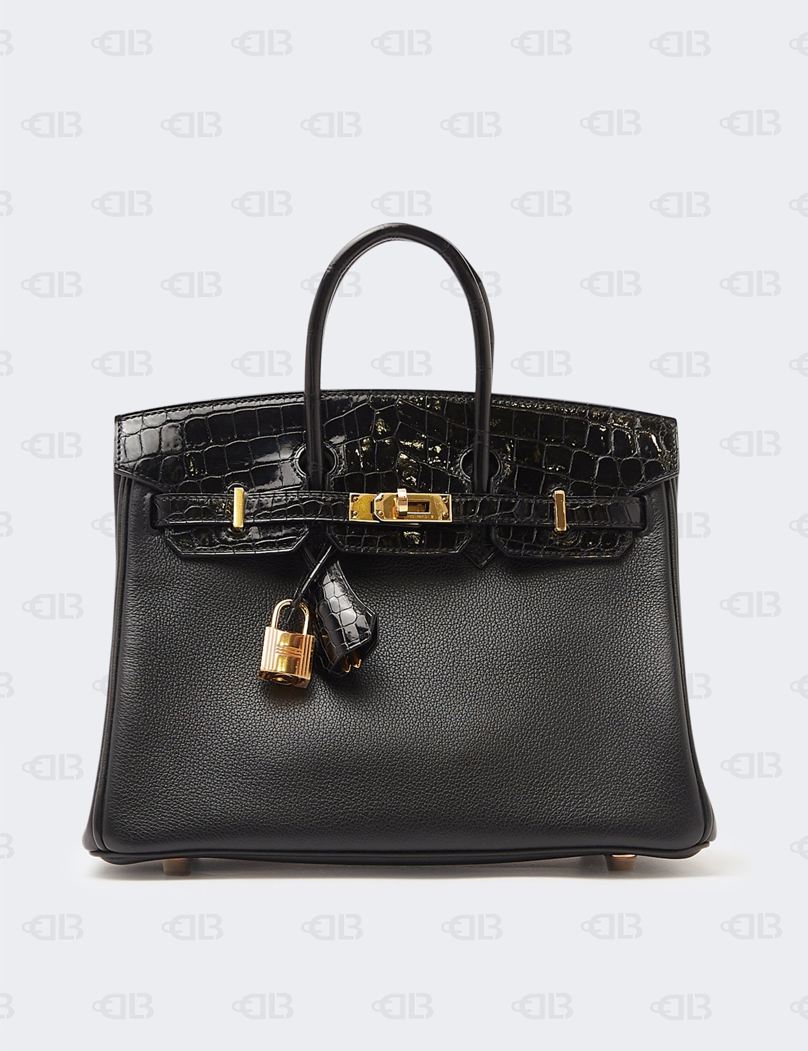 Hermes Noir Novillo Niloticus Touch Birkin 25