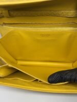 Celine Yellow Python Medium Classic Box Shoulder Bag