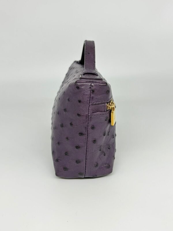 Loro Piana Purple Ostrich L19 Pouch9