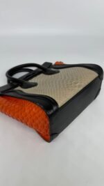 Celine Tri Color Python And Leather Nano Luggage Bag