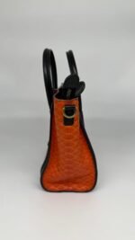 Celine Tri Color Python And Leather Nano Luggage Bag