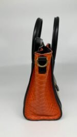 Celine Tri Color Python And Leather Nano Luggage Bag