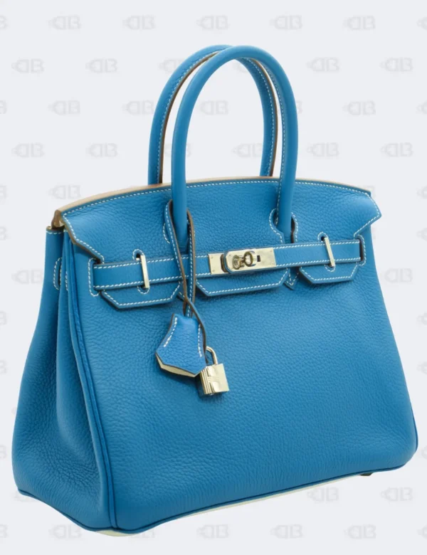 Hermès Birkin 30 Mykonos and Iris Togo Verso Special Order with Palladium Hardware