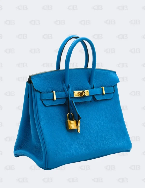 Hermes Birkin 25 Bleu Brighton Togo with Gold Hardware