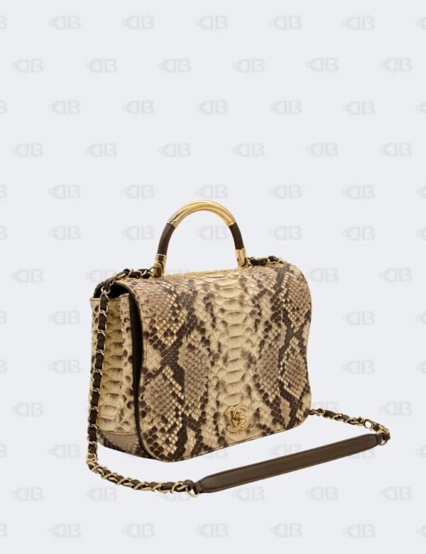 Chanel Carry Chic in Python Leather Flap Bag