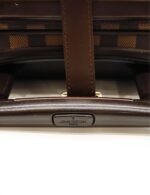 Louis Vuitton Damier Ebene Coated Canvas Pegase 55 Rolling Suitcase