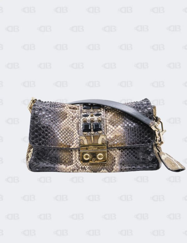 Christian Dior Multicolor Python New Lock Flap Bag